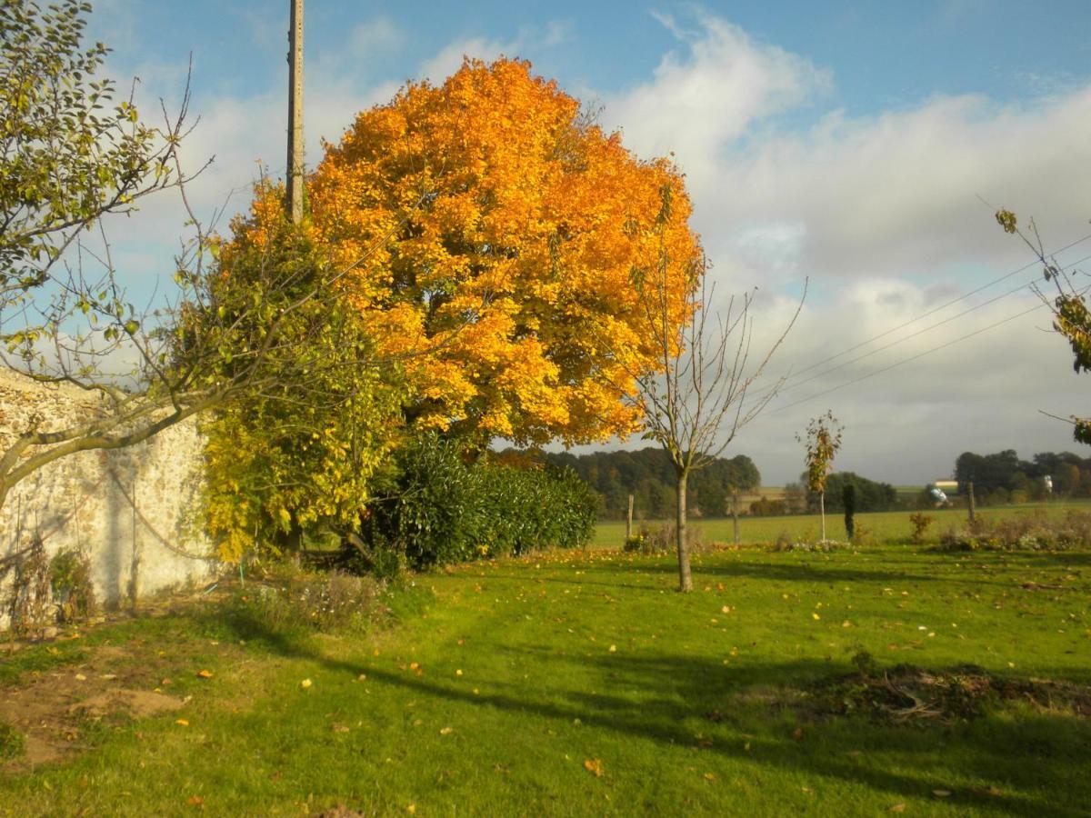 La Ferme Le Merger Bed & Breakfast La Ferté-Gaucher Eksteriør bilde