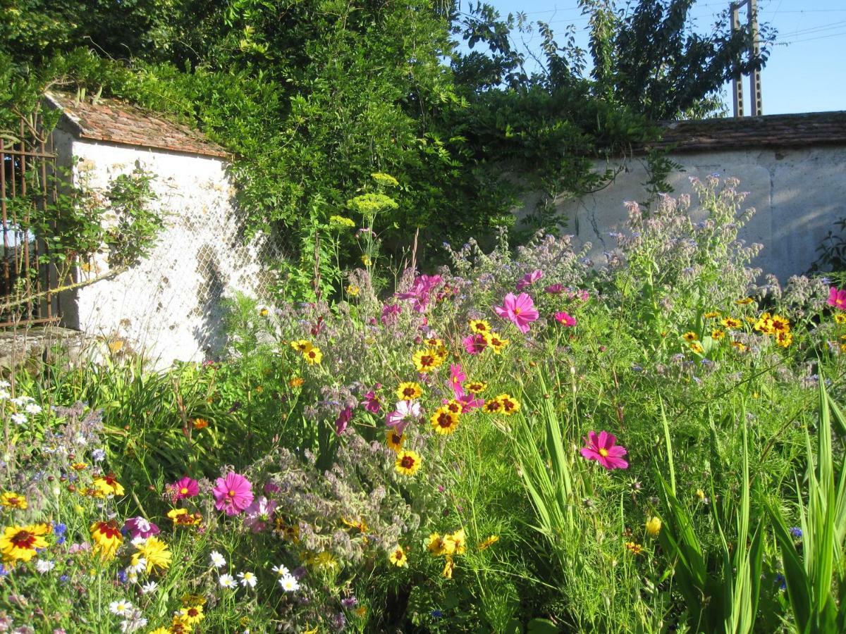 La Ferme Le Merger Bed & Breakfast La Ferté-Gaucher Eksteriør bilde